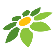 LINK AYOJUDI